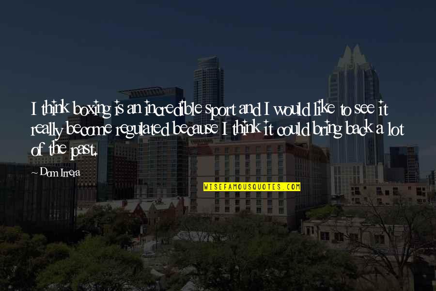Arcontes De Atenas Quotes By Dom Irrera: I think boxing is an incredible sport and