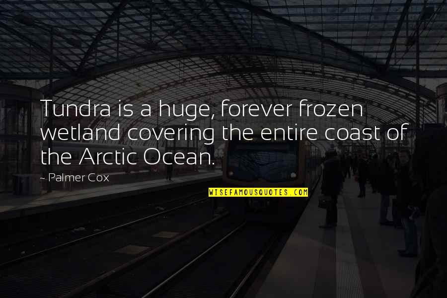 Arctic Quotes By Palmer Cox: Tundra is a huge, forever frozen wetland covering