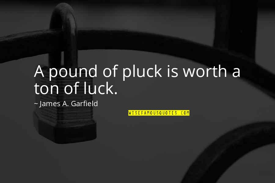 Arcularis Quotes By James A. Garfield: A pound of pluck is worth a ton