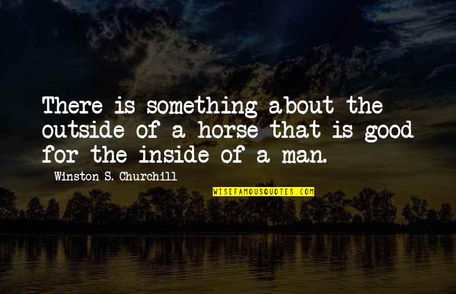 Arculus Quotes By Winston S. Churchill: There is something about the outside of a