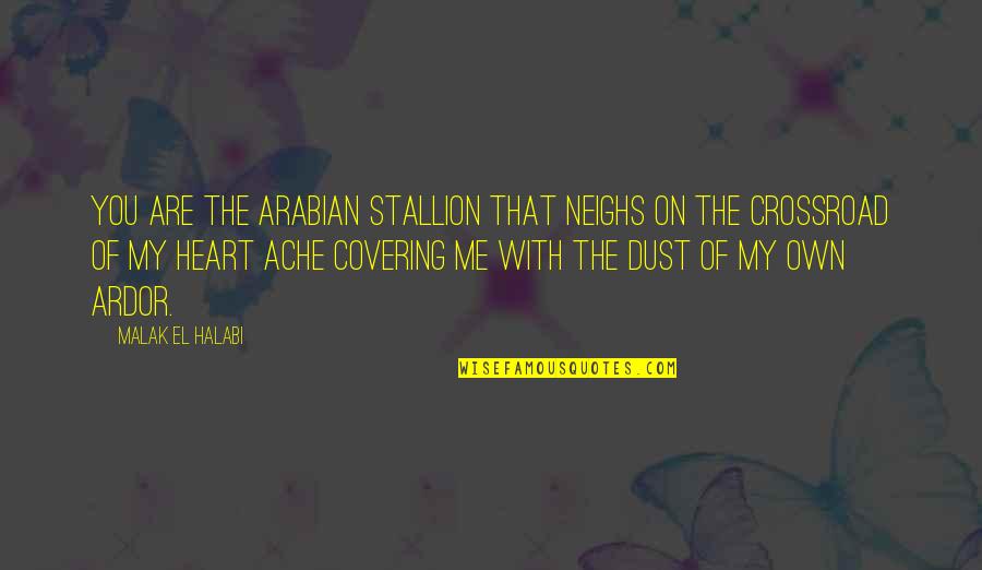 Ardor Quotes By Malak El Halabi: You are the Arabian stallion that neighs on