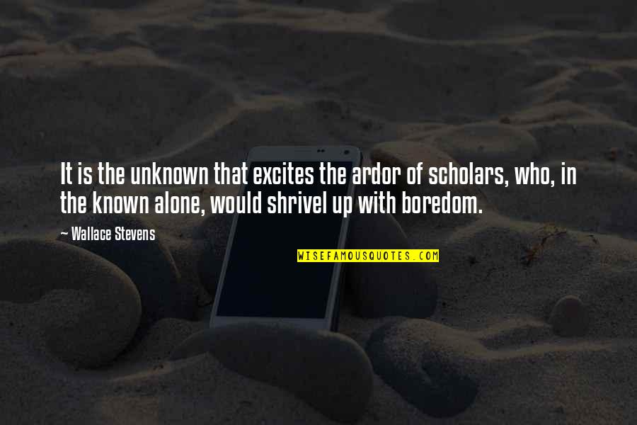 Ardor Quotes By Wallace Stevens: It is the unknown that excites the ardor
