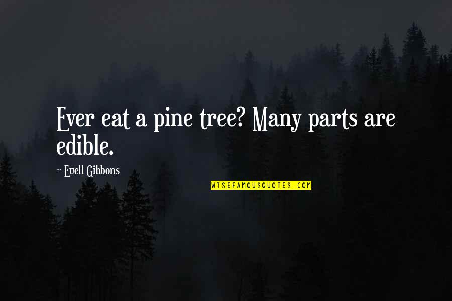 Are Ever Quotes By Euell Gibbons: Ever eat a pine tree? Many parts are