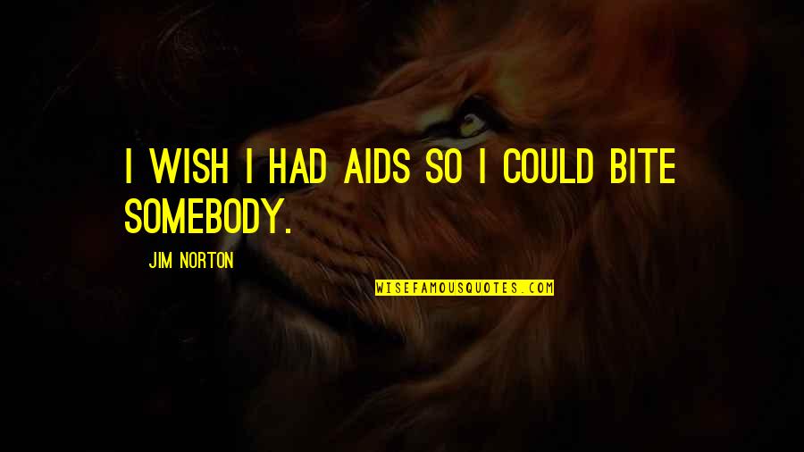 Are Humans Good Or Evil Quotes By Jim Norton: I wish I had AIDS so I could Are Humans Good Or Evil Quotes By Jim Norton: I wish I had AIDS so I could