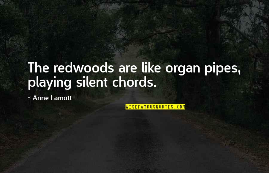 Are Like Quotes By Anne Lamott: The redwoods are like organ pipes, playing silent
