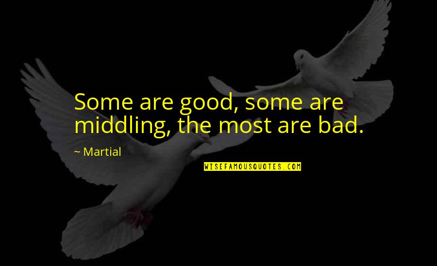 Are Some Quotes By Martial: Some are good, some are middling, the most