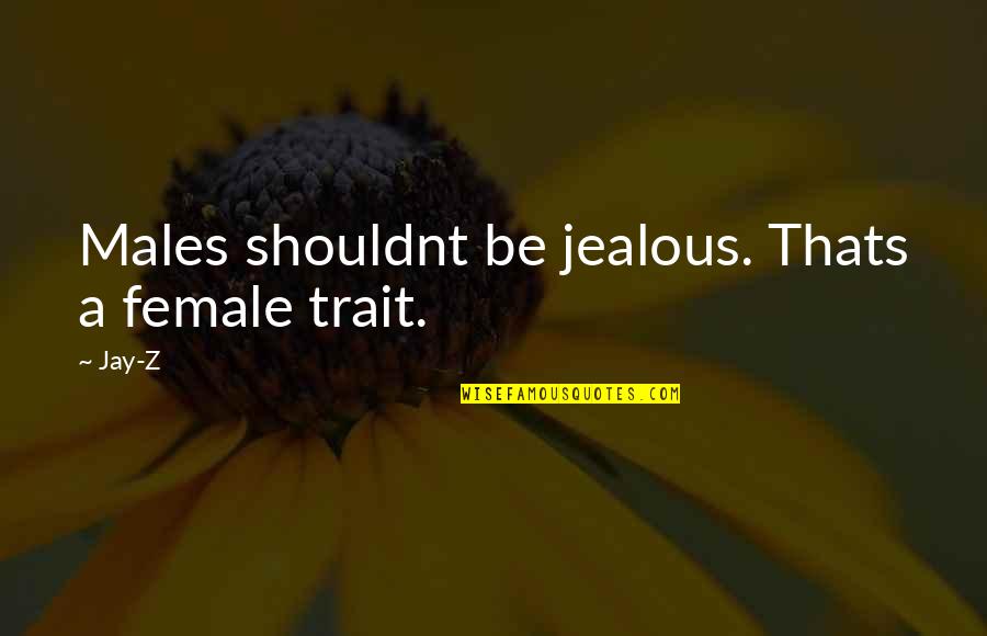 Are U Jealous Quotes By Jay-Z: Males shouldnt be jealous. Thats a female trait.