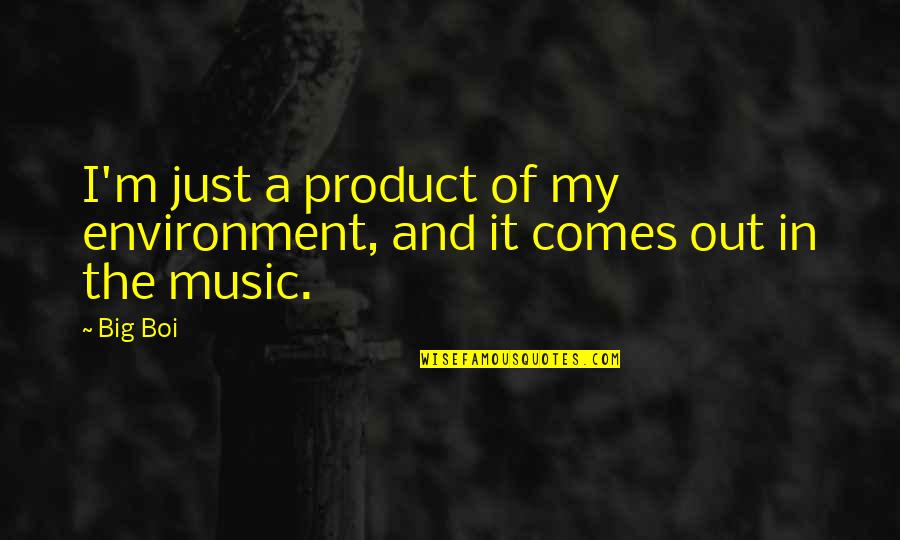 Are We A Product Of Our Environment Quotes By Big Boi: I'm just a product of my environment, and