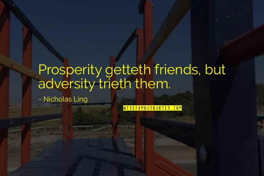 Are We Just Friends Quotes By Nicholas Ling: Prosperity getteth friends, but adversity trieth them.