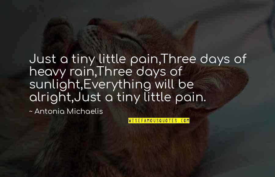 Are You Alright Quotes By Antonia Michaelis: Just a tiny little pain,Three days of heavy