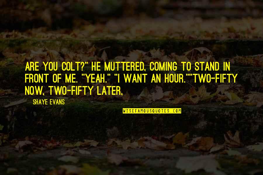 Are You Coming Quotes By Shaye Evans: Are you Colt?" he muttered, coming to stand Are You Coming Quotes By Shaye Evans: Are you Colt?" he muttered, coming to stand