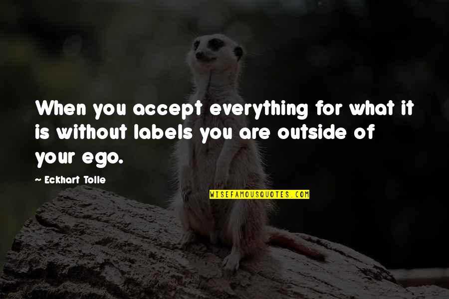 Are You Crazy Quotes By Eckhart Tolle: When you accept everything for what it is