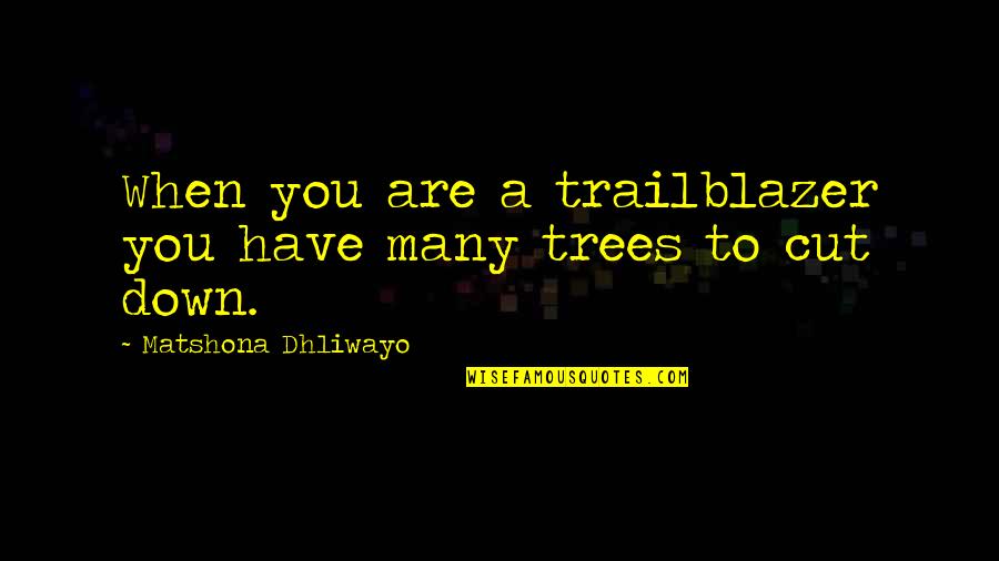 Are You Down Quotes By Matshona Dhliwayo: When you are a trailblazer you have many