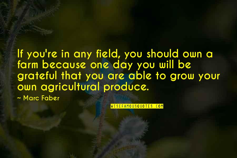 Are You Grateful Quotes By Marc Faber: If you're in any field, you should own