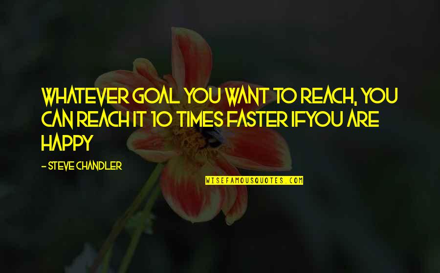 Are You Happy Quotes By Steve Chandler: Whatever goal you want to reach, you can