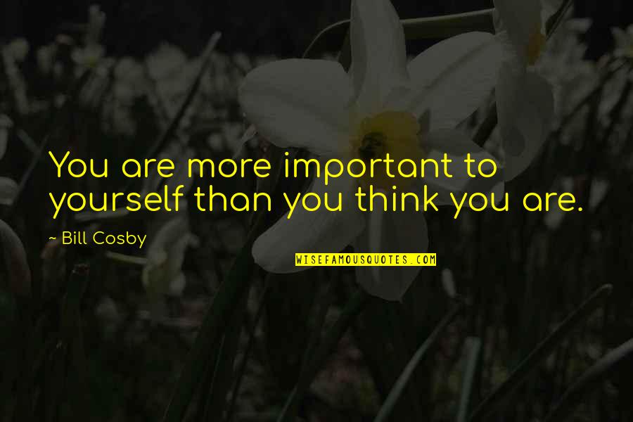 Are You Important Quotes By Bill Cosby: You are more important to yourself than you