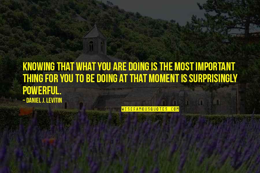 Are You Important Quotes By Daniel J. Levitin: Knowing that what you are doing is the