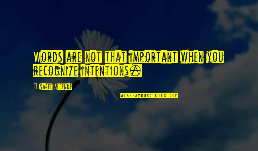 Are You Important Quotes By Isabel Allende: Words are not that important when you recognize