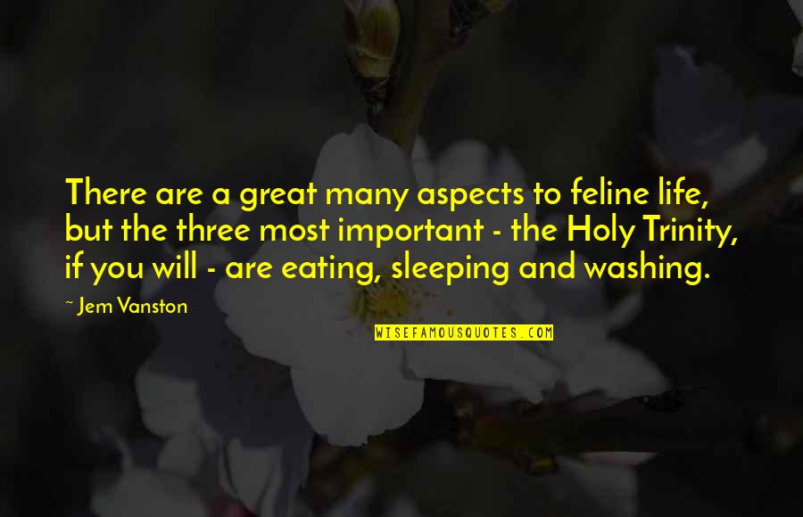 Are You Important Quotes By Jem Vanston: There are a great many aspects to feline