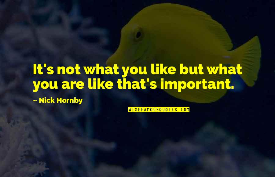 Are You Important Quotes By Nick Hornby: It's not what you like but what you