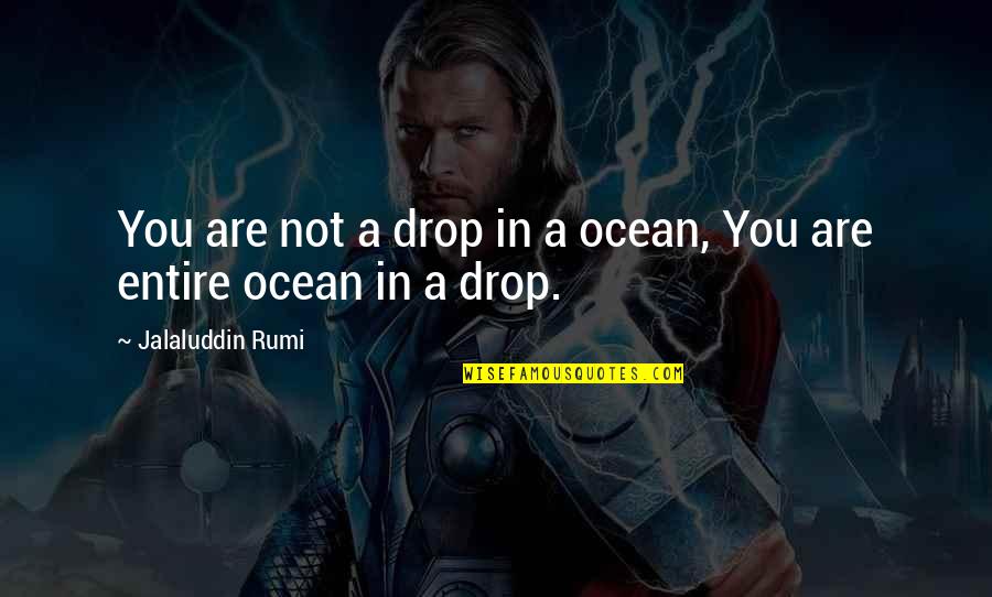 Are You In Quotes By Jalaluddin Rumi: You are not a drop in a ocean,