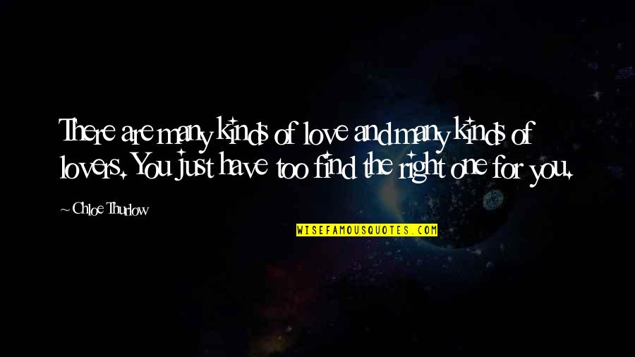 Are You Love Quotes By Chloe Thurlow: There are many kinds of love and many