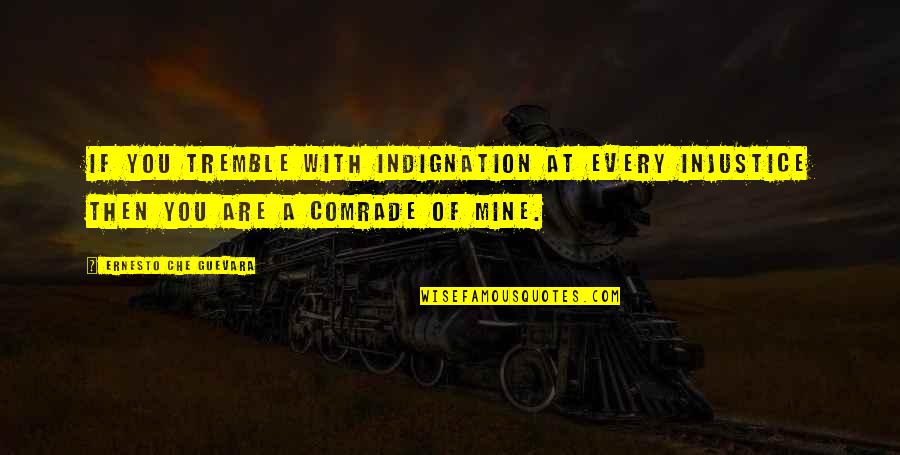 Are You Mine Quotes By Ernesto Che Guevara: If you tremble with indignation at every injustice