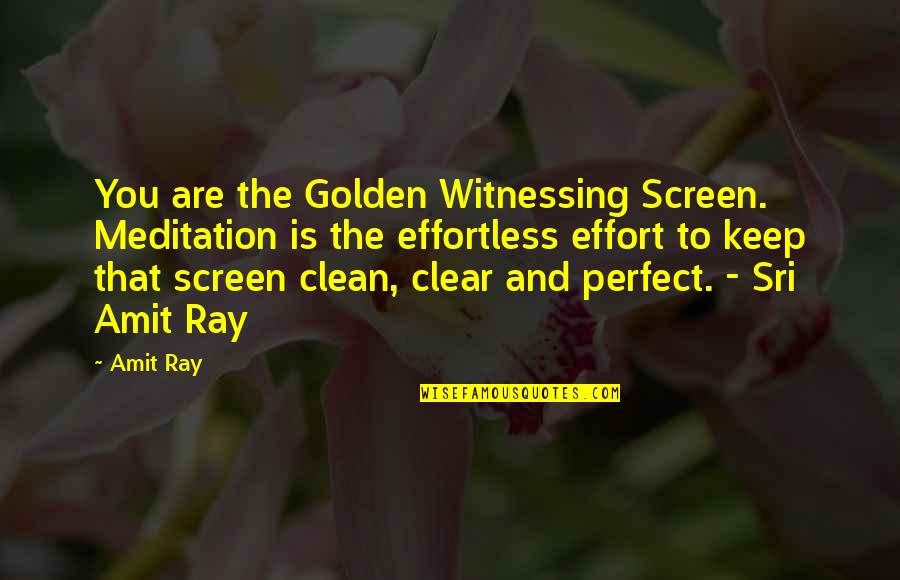 Are You Perfect Quotes By Amit Ray: You are the Golden Witnessing Screen. Meditation is