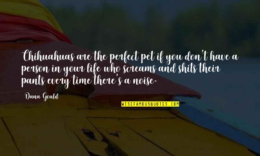 Are You Perfect Quotes By Dana Gould: Chihuahuas are the perfect pet if you don't Are You Perfect Quotes By Dana Gould: Chihuahuas are the perfect pet if you don't