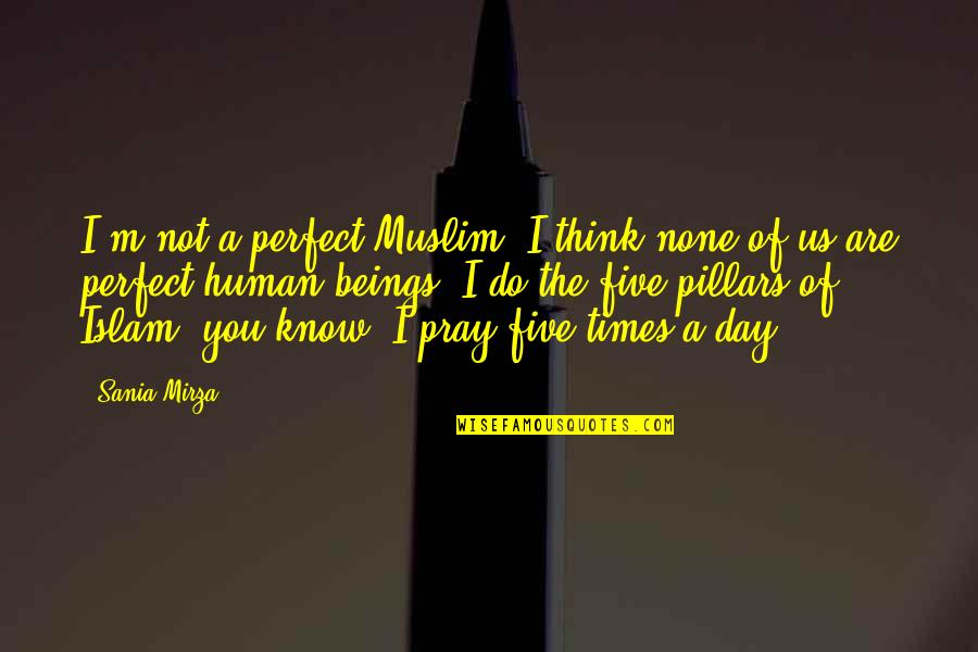 Are You Perfect Quotes By Sania Mirza: I'm not a perfect Muslim; I think none