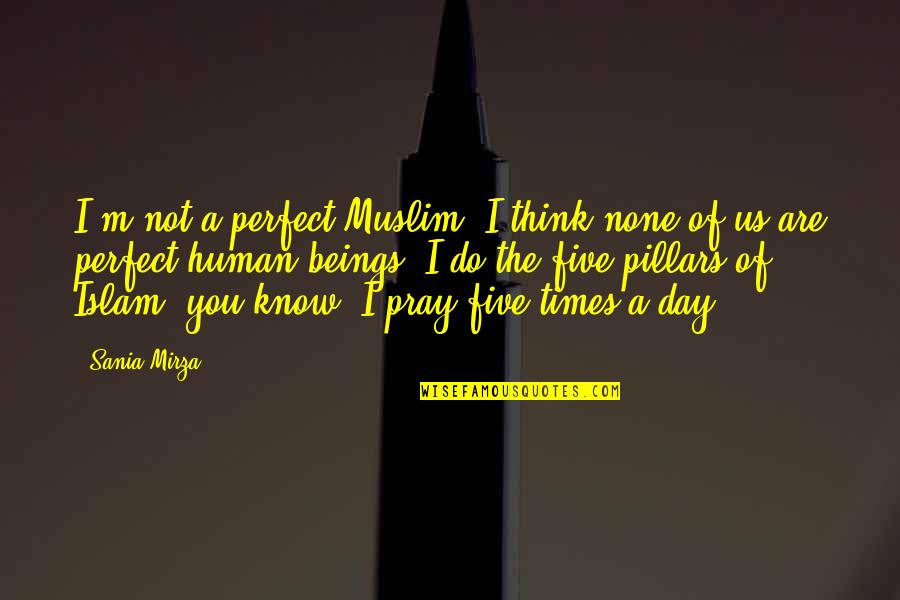 Are You Perfect Quotes By Sania Mirza: I'm not a perfect Muslim; I think none Are You Perfect Quotes By Sania Mirza: I'm not a perfect Muslim; I think none