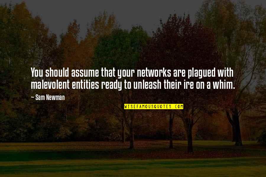 Are You Ready Quotes By Sam Newman: You should assume that your networks are plagued