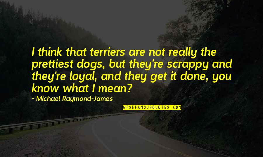 Are You Really Quotes By Michael Raymond-James: I think that terriers are not really the