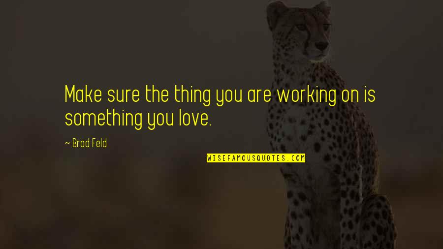 Are You Sure Quotes By Brad Feld: Make sure the thing you are working on