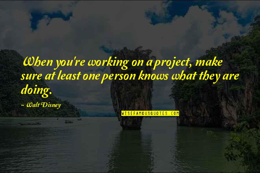 Are You Sure Quotes By Walt Disney: When you're working on a project, make sure