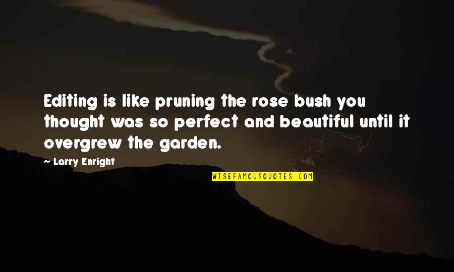 Are You Trying To Hurt Me Quotes By Larry Enright: Editing is like pruning the rose bush you