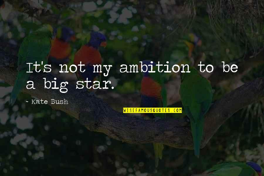 Arelate Quotes By Kate Bush: It's not my ambition to be a big Arelate Quotes By Kate Bush: It's not my ambition to be a big
