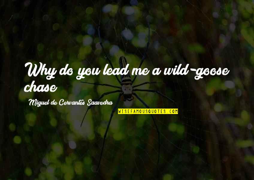Arelene's Quotes By Miguel De Cervantes Saavedra: Why do you lead me a wild-goose chase?