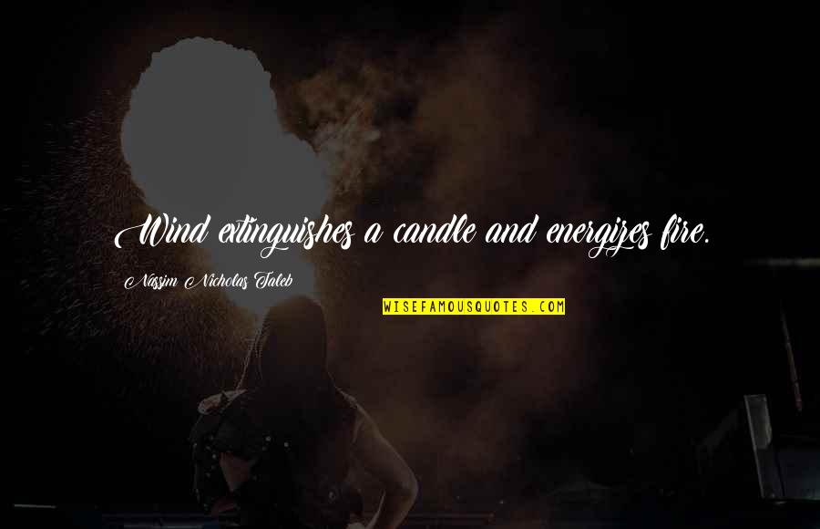 Arelia Palm Quotes By Nassim Nicholas Taleb: Wind extinguishes a candle and energizes fire.