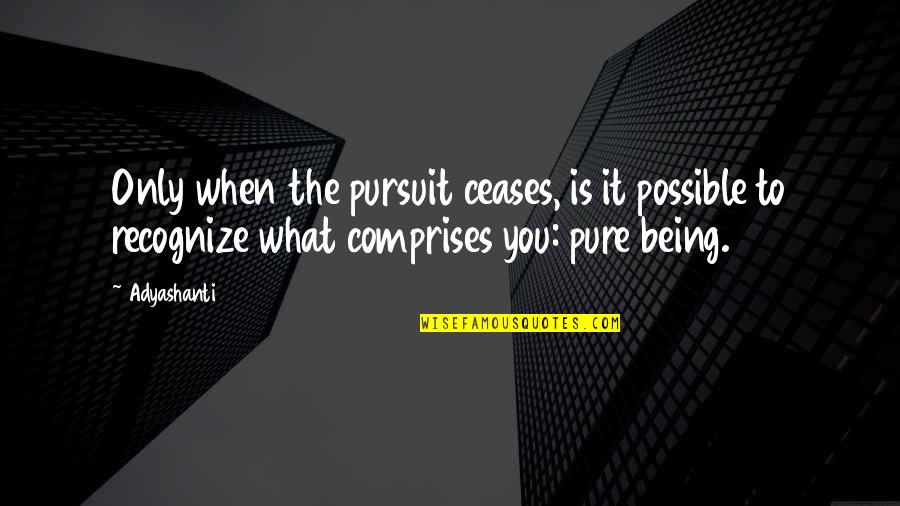 Arelike Quotes By Adyashanti: Only when the pursuit ceases, is it possible