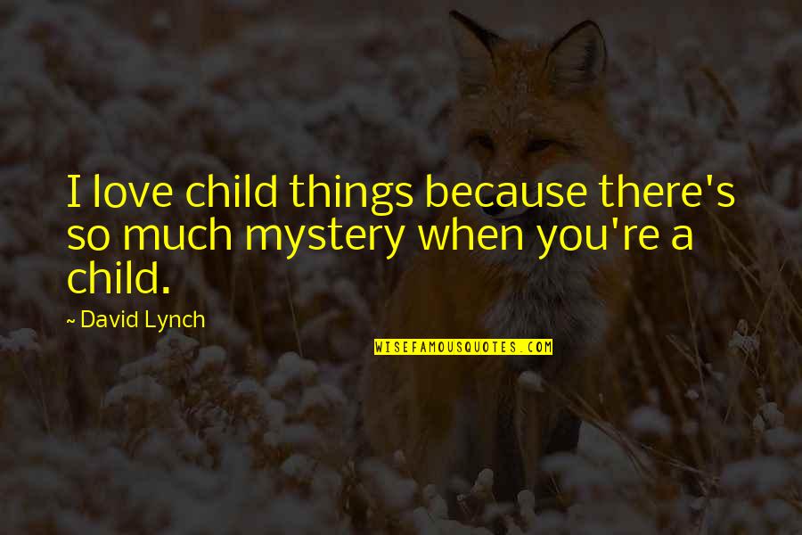 Areliz Quotes By David Lynch: I love child things because there's so much