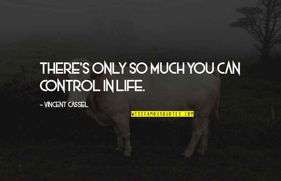 Arelle Oberlander Quotes By Vincent Cassel: There's only so much you can control in