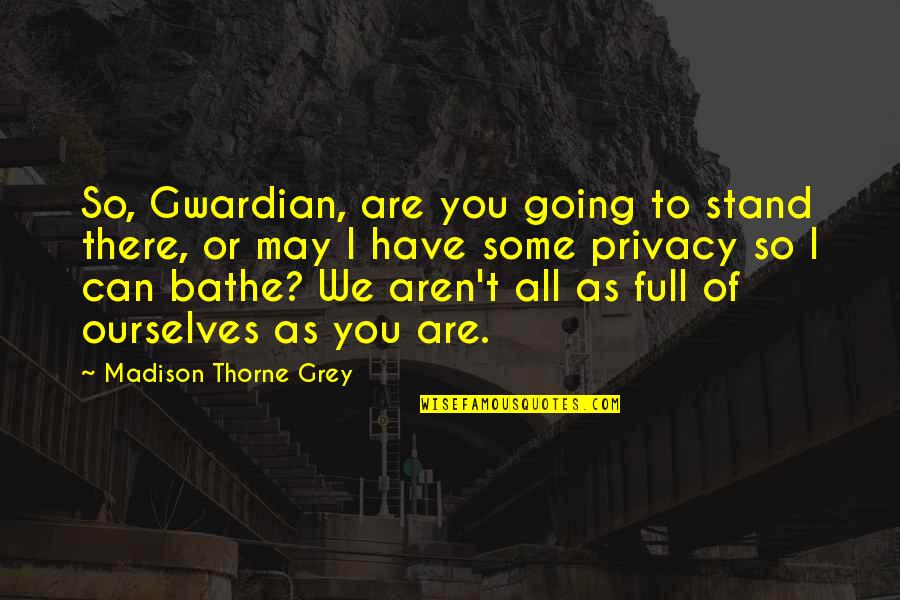 Aren We All Quotes By Madison Thorne Grey: So, Gwardian, are you going to stand there,