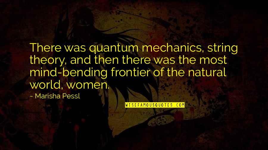 Arendal Subwoofer Quotes By Marisha Pessl: There was quantum mechanics, string theory, and then