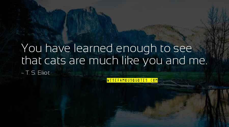 Are't Quotes By T. S. Eliot: You have learned enough to see that cats