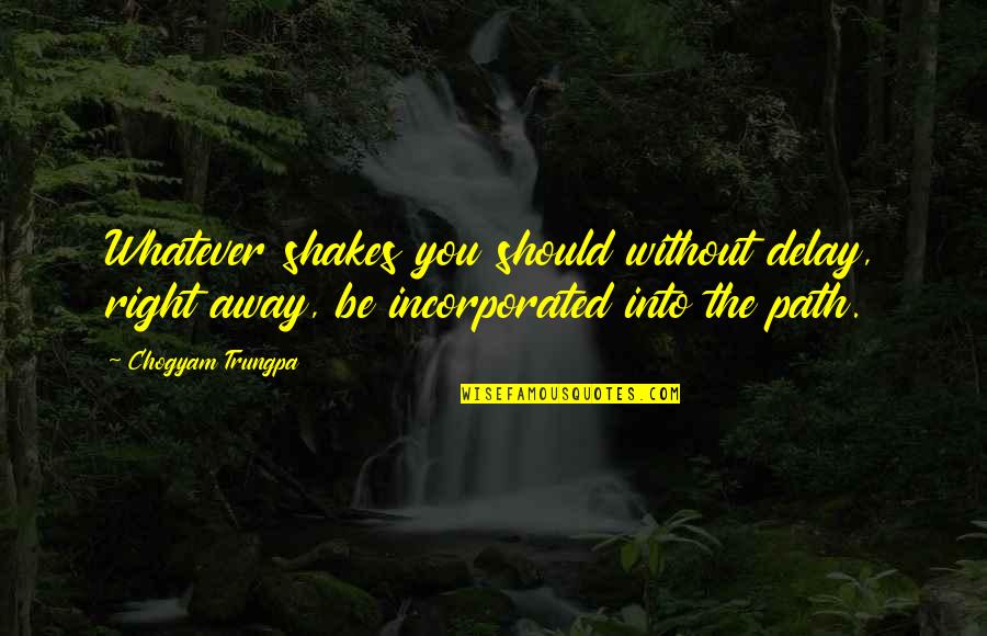 Argentino Lake Quotes By Chogyam Trungpa: Whatever shakes you should without delay, right away,