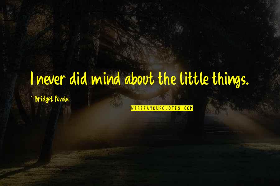 Argents Birmingham Quotes By Bridget Fonda: I never did mind about the little things.