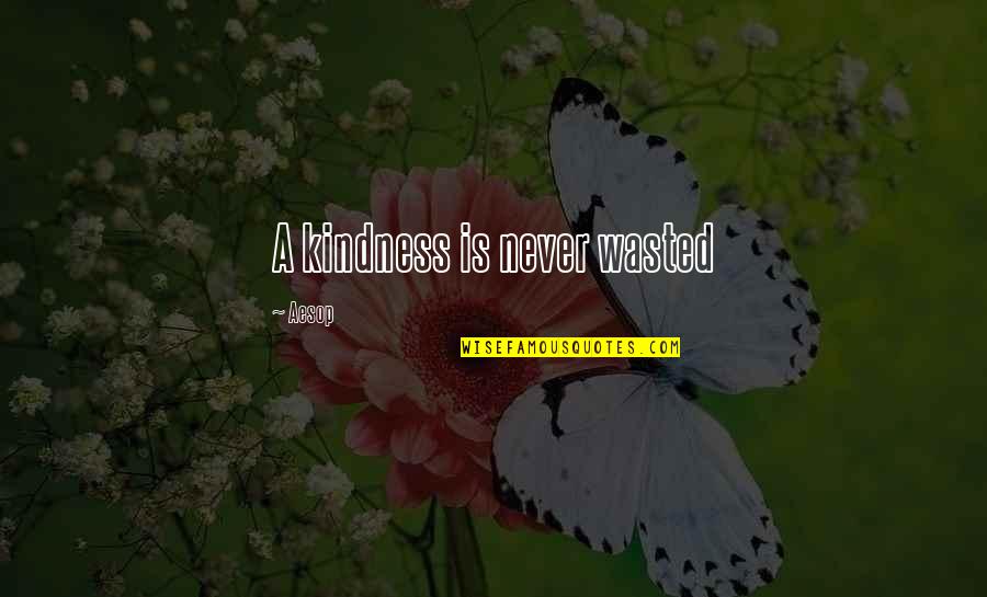 Arginina Pret Quotes By Aesop: A kindness is never wasted