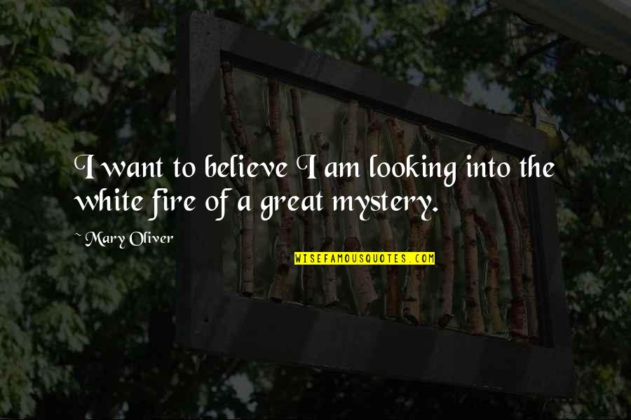 Arguing With Girlfriend Quotes By Mary Oliver: I want to believe I am looking into