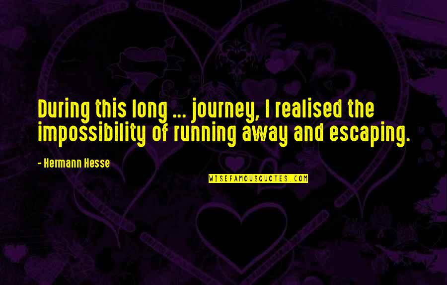 Argus Filch Quotes By Hermann Hesse: During this long ... journey, I realised the